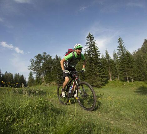 A man rides his mountain bike in the meadow