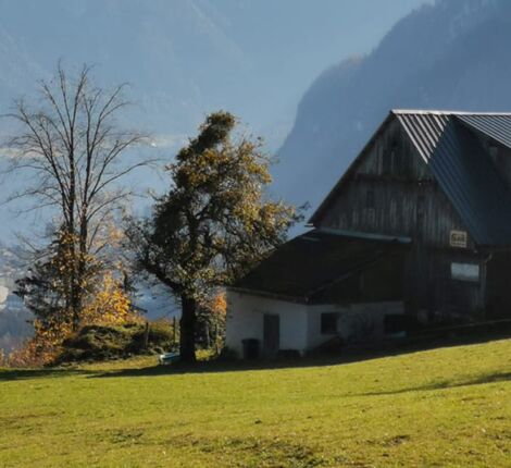 Ein kleiner Bauernhof auf dem Berg mit Blick auf den Hallstättersee
