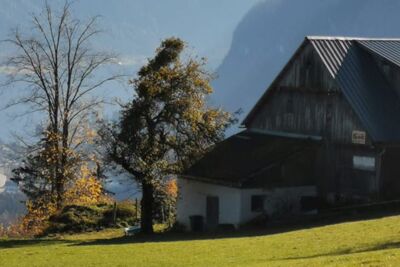 Ein kleiner Bauernhof auf dem Berg mit Blick auf den Hallstättersee