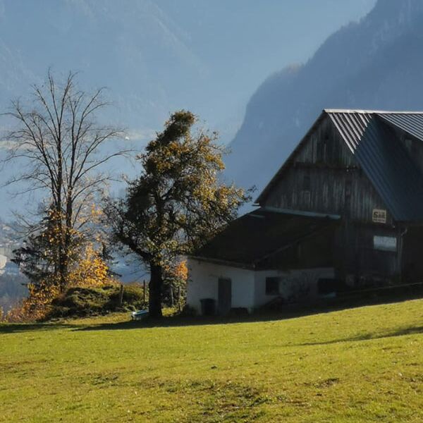 A small farm on the mountain with a view of Lake Hallstatt